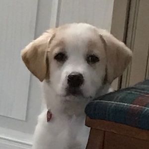 Meet your Posher, Mia